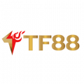 TF88 – Nhà Cái Cung Cấp Hơn 10,000 Kèo Cược Bóng Đá