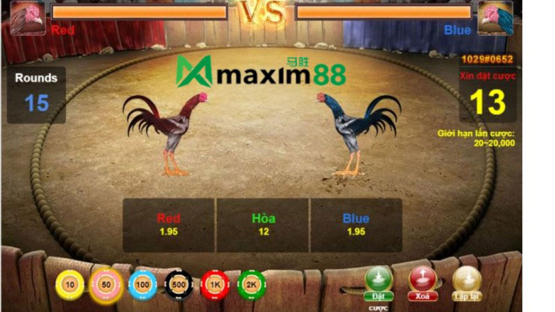 Đá gà online tại Maxim88 tỉ lệ cá cược cao